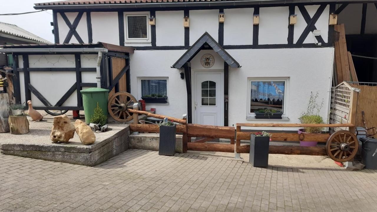 Wellness Ferienwohnung Biene Im Bergischen Land Much Eksteriør billede